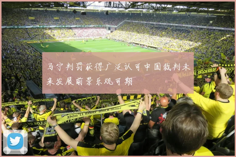 马宁判罚获得广泛认可中国裁判未来发展前景乐观可期
